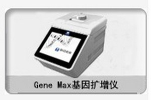 GeneMax PCR
